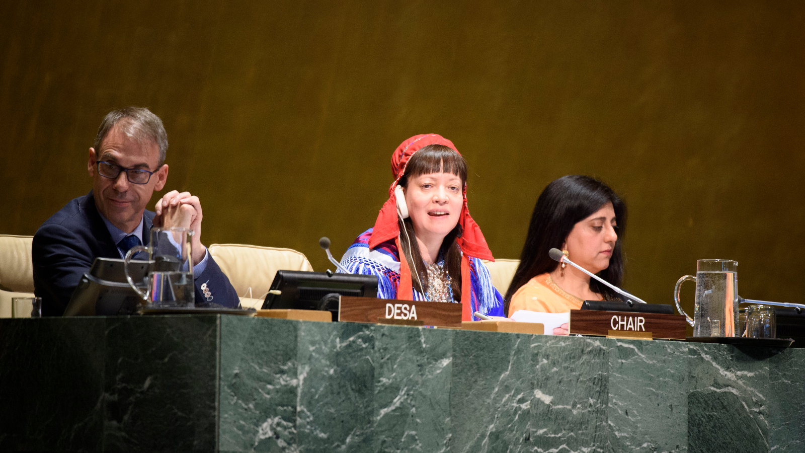 805030-GA-unpfii18 Anne Nuorgam