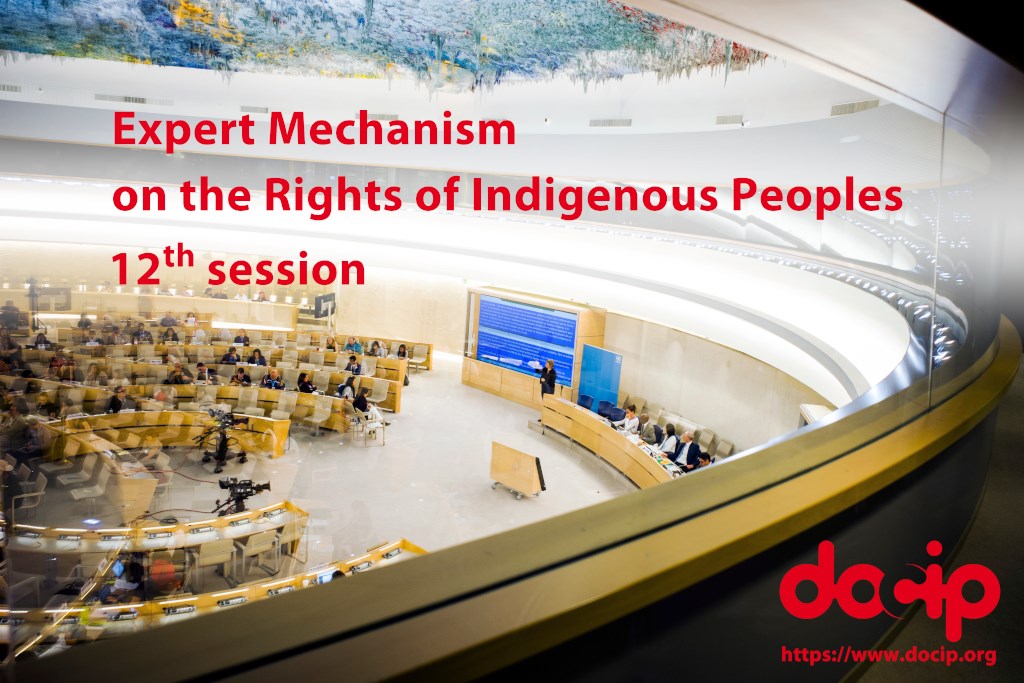 EMRIP 12th session Docip